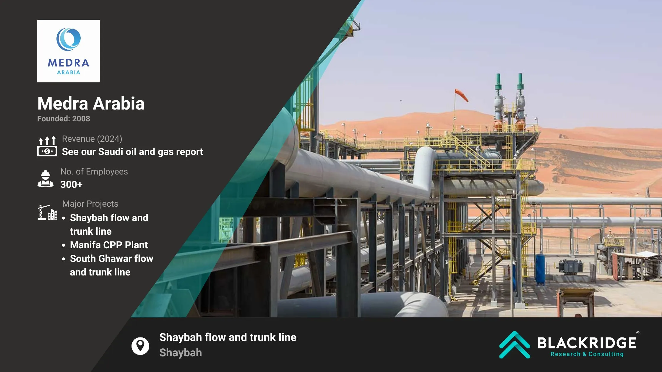oil & gas companies in saudi arabia